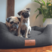 Luxury Dog Beds